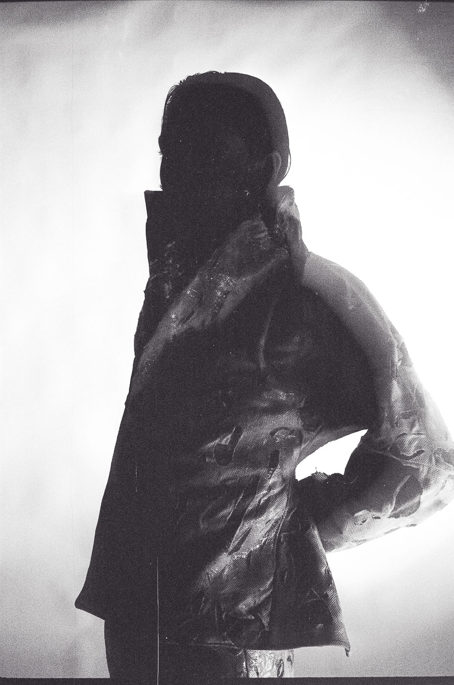 Vessillo del canto muto foto 29